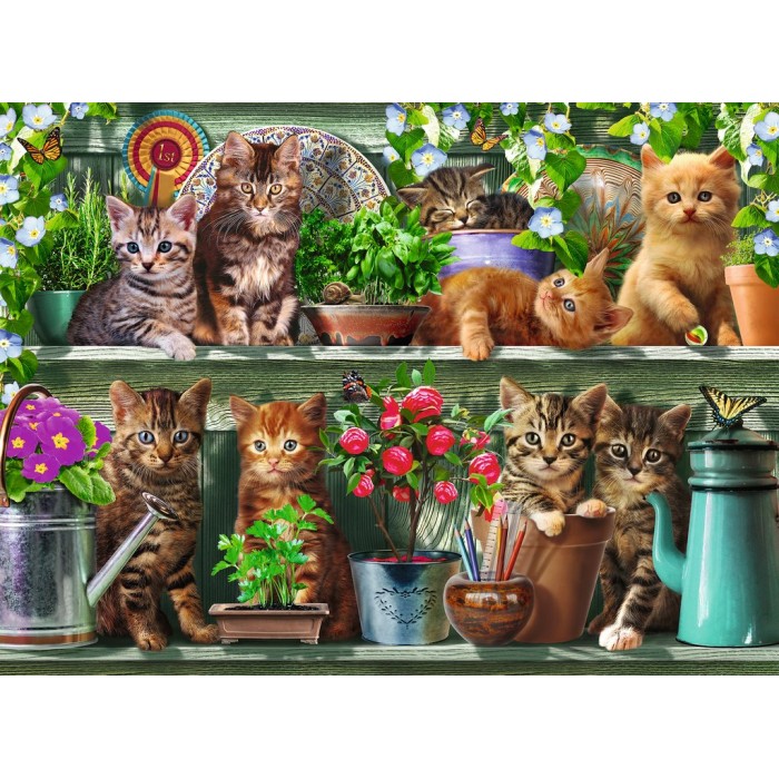 Puzzle  Ravensburger-00205 Des Chats sur l'Etagère