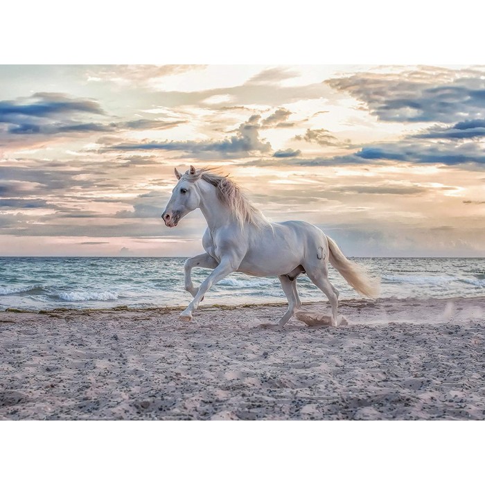 Puzzle  Ravensburger-00222 Cheval sur la Plage