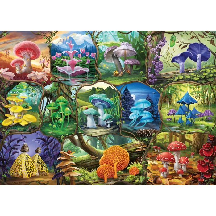 Puzzle  Ravensburger-00424 Magnifiques Champignons