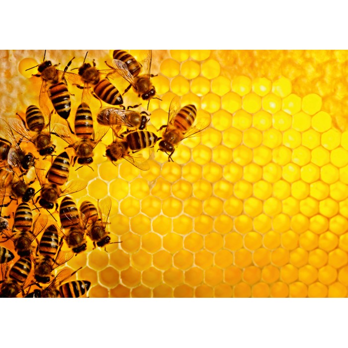 Puzzle  Ravensburger-00614 Abeilles