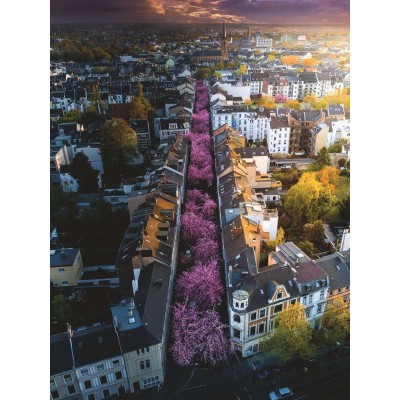 Puzzle Ravensburger-00730 Bonn en Fleurs