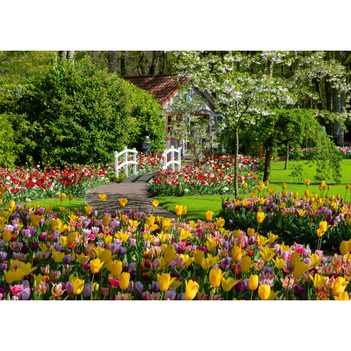 Puzzle  Ravensburger-00851 Jardins de Keukenhof, Pays-Bas