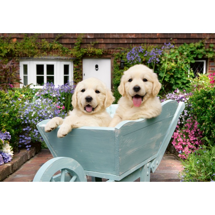 Ravensburger-01368 Bien Être & Puzzle - Golden Retriever