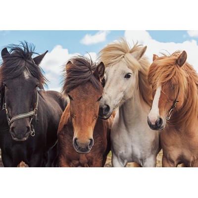 Ravensburger-05148 2 Puzzles - Chevaux