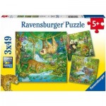  Ravensburger-05180 3 Puzzles - Jungle Animals