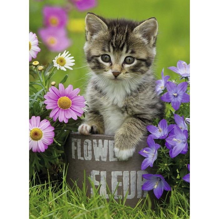 Puzzle  Ravensburger-10847 Chaton dans les Fleurs