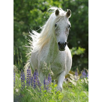 Puzzle Ravensburger-12927 Pièces XXL - White Horse