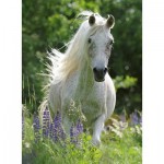 Puzzle  Ravensburger-12927 Pièces XXL - White Horse