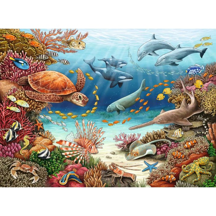 Pièces XXL - WWW - Animaux marins au récif corallien
