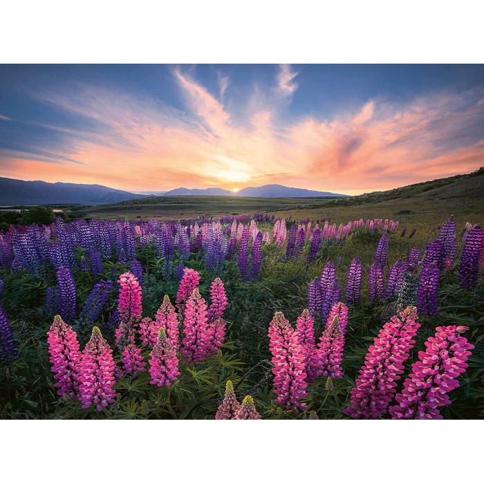 Puzzle  Ravensburger-17492 Nature Edition - Lupins