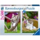 2 Puzzles - Chatons