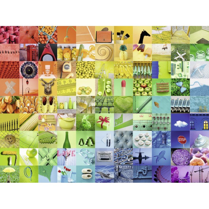 Puzzle   99 Belles Couleurs