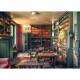 Lost Places - Mysterious Castle Library