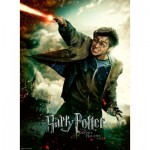 Puzzle   Pièces XXL - Harry Potter