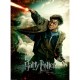 Pièces XXL - Harry Potter