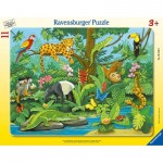   Puzzle Cadre - Animaux de la Forêt Tropicale