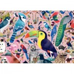 Puzzle   Sewell's Amazing Birds