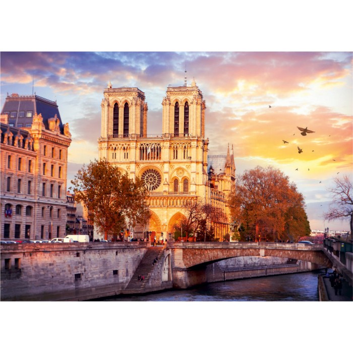 Puzzle  Roovi-80707 Notre Dame Paris, France