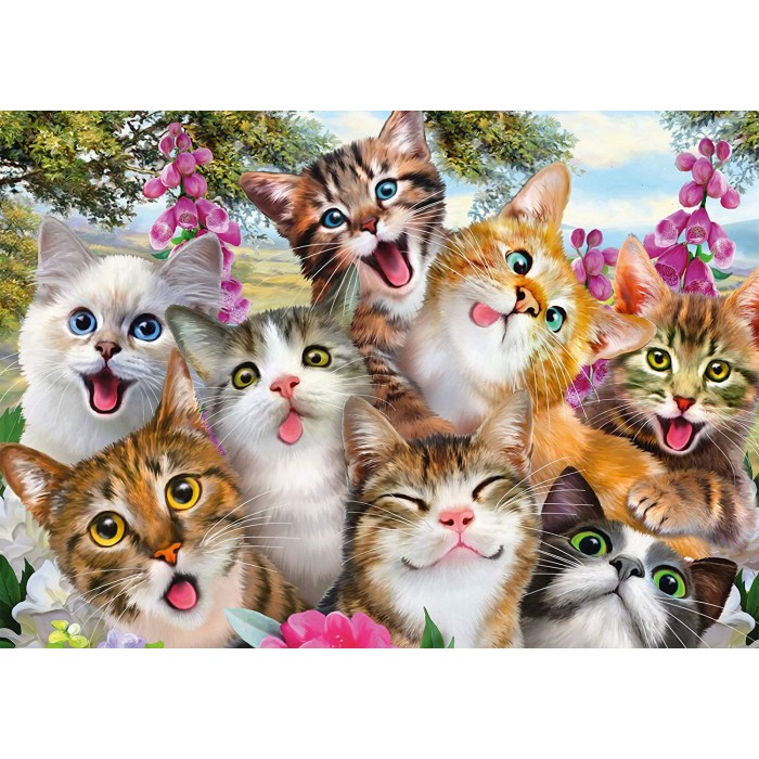 Puzzle  Schmidt-Spiele-58391 Cats' Selfy