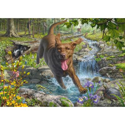 Puzzle Schmidt-Spiele-58559 Mark Fredrickson - Retriever au Printemps