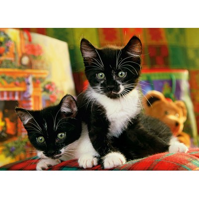 Puzzle Step-Puzzle-77010-07 Chatons