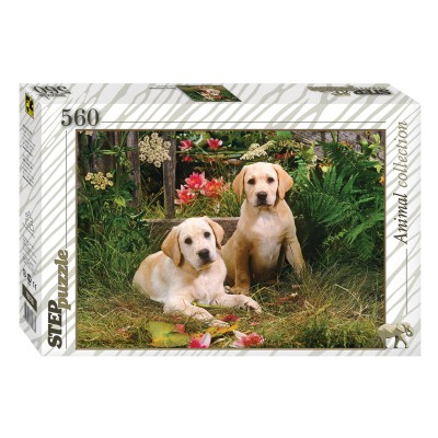 Puzzle Step-Puzzle-78076 Labradors