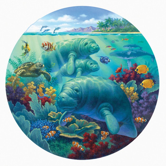 Puzzle Sunsout-55968 Pièces XXL - Manatee Beach