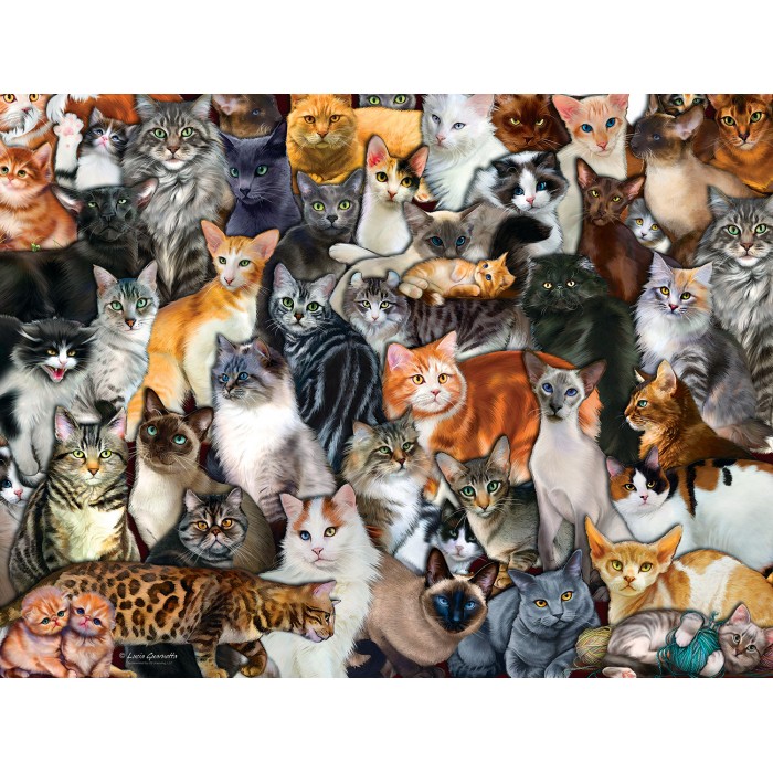 Pièces XXL - Cat Collage