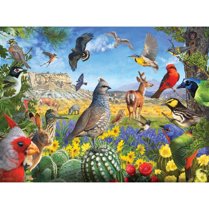 Puzzle  Sunsout-70939 R. Christopher Vest - Texas Birds