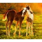 Puzzle   Lesley Harrison - Backlit Foals