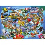 Puzzle   Oiseaux d'État des États-Unis