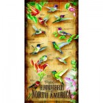Puzzle   Pièces XXL - Colibris d'Amérique du Nord