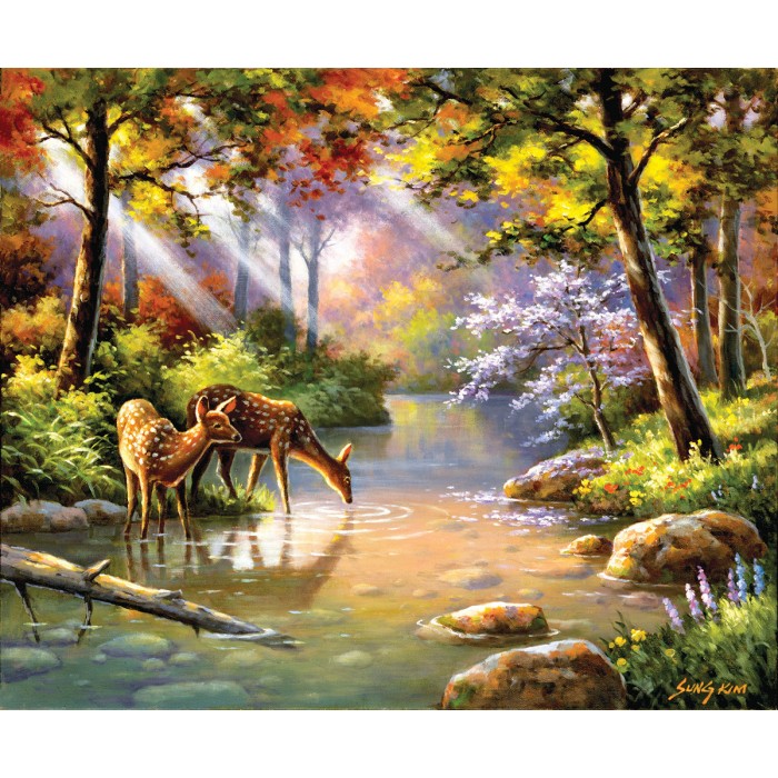 Puzzle   Sung Kim - Doe Re Me Creek