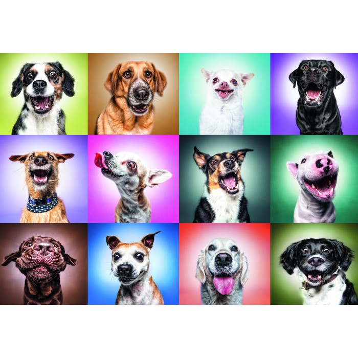   Trefl Prime Puzzle - Funny Dogs