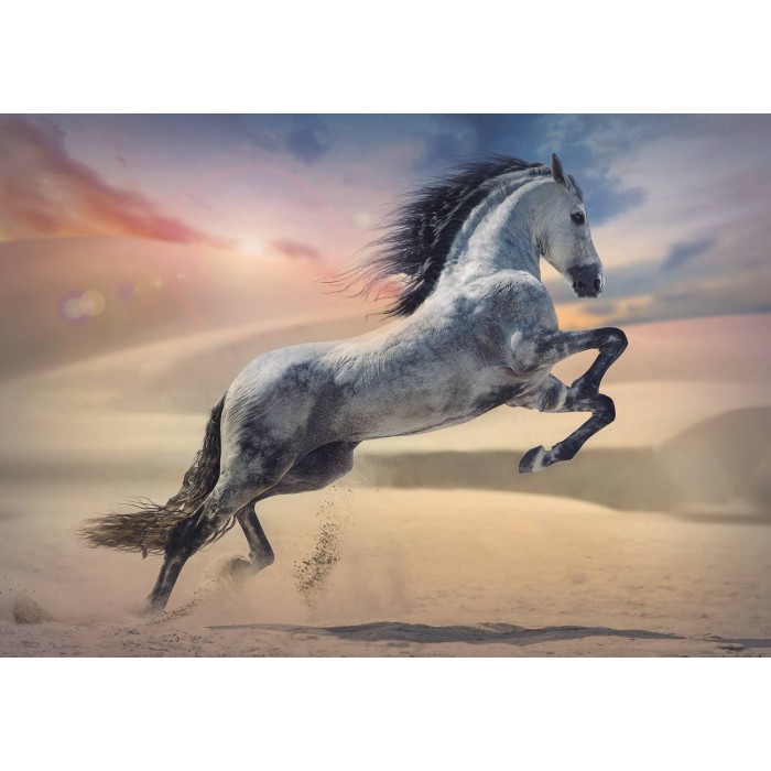 Puzzle  Trefl-10790 Cheval Majestueux