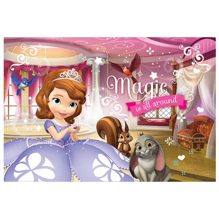   2 Puzzles Lumi Color - Princesse Sofia