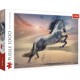 Cheval Majestueux