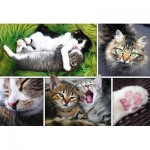 Puzzle   Collage - Chats