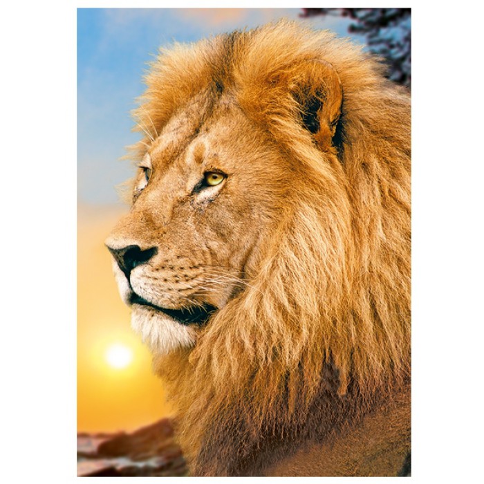 Puzzle   Lion