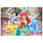   Puzzle Brillant - Disney Princesses