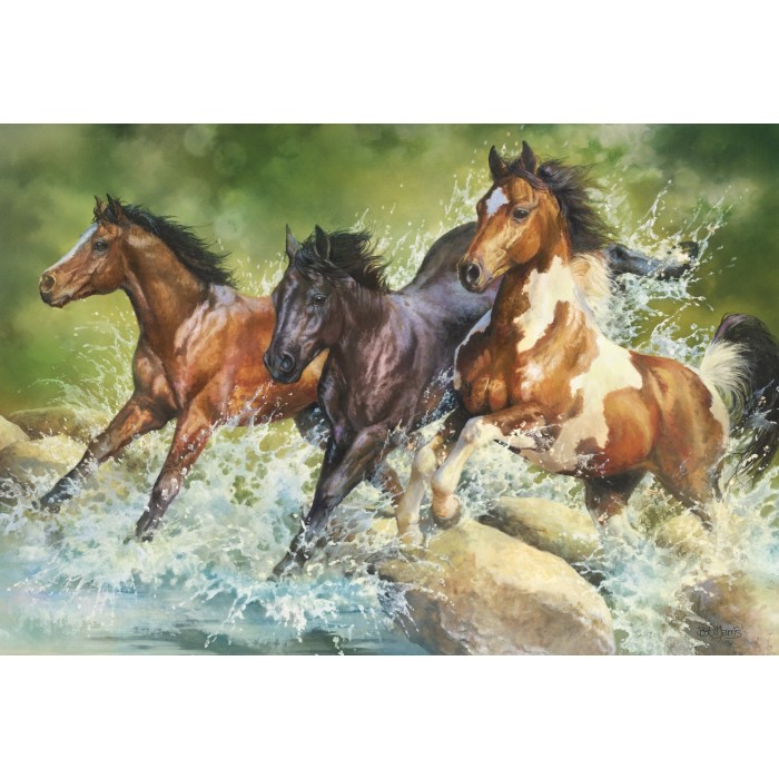 Puzzle   Three Wild Horses