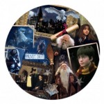 Puzzle   Harry Potter (TM) et la Pierre Philosophale